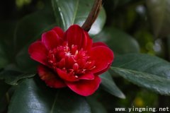 岳麓區(qū)網(wǎng)站專業(yè)建設(shè)的未來發(fā)展？